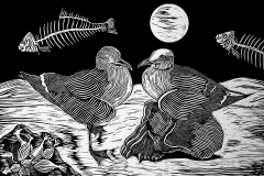 Aves nocturnas