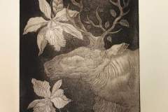 Monchy y Wylie (México - Canadá) - Aguafuerte y aguatinta