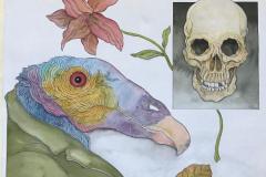 Ave de Presa (Proceso) - Tinta china, acuarela y lápiz de color