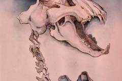 El Nido - Acuarela y Tintas