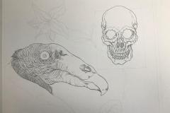 Ave de Presa (Proceso) - Tinta china