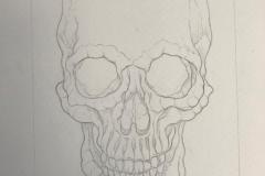 Ave de Presa (Proceso) - Lápiz