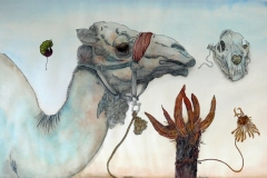 Dromedario - Acuarela y tintas