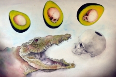 El hueso del aguacate - Acuarela y tintas