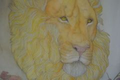 El león no es como lo pintan - Acuarela y tintas