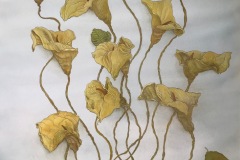 Cangrejo con alcatraces - Acuarela, tinta china y acrílico