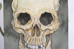 Proceso de la obra “Ave de presa” desde lápiz, tinta china hasta acuarela y lápiz de color.