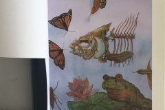 el-sol-de-la-noche-2