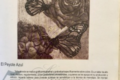 5 Años de Qué Hacer Cultural