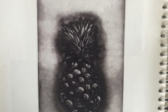 Sembrar Cosechar Multiplicar